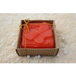 Motýl v krabičce - oranžový